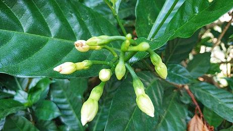 B社《辐射4》销量已超2500万 未来《辐射5》也将如此