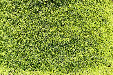 《暗黑4》剧情35小时 最高等级100级、巅峰最高只有200